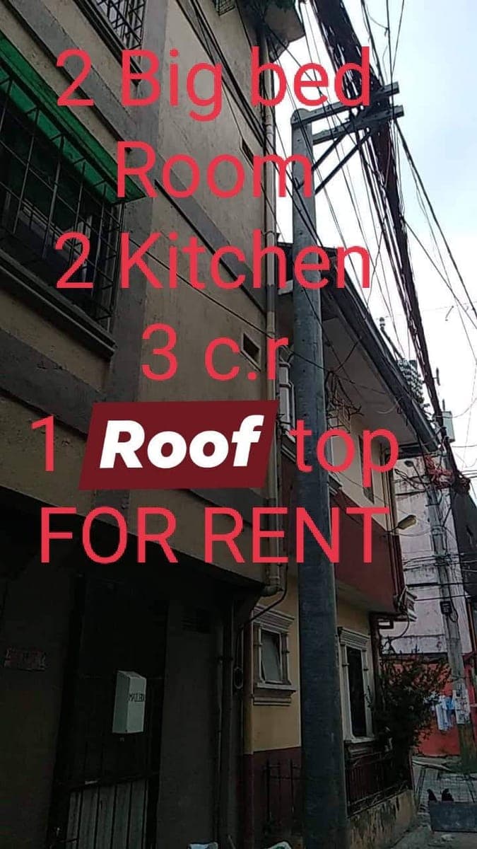 Apartment for rent - photo 1