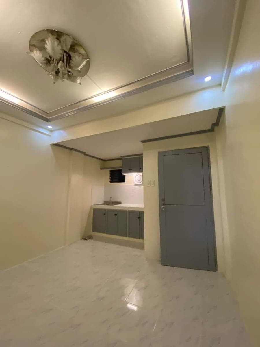 Newly Renovated 3 Bedroom Unit inside VILLA FIDELA SUBDIVISION ALONG QUIRINO AVE.(MAIN ROAD) LAS PINAS CITY - photo 1