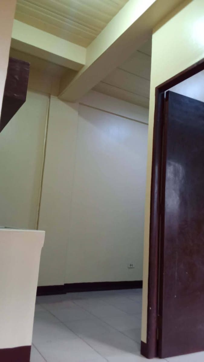 Ground floor - photo 3