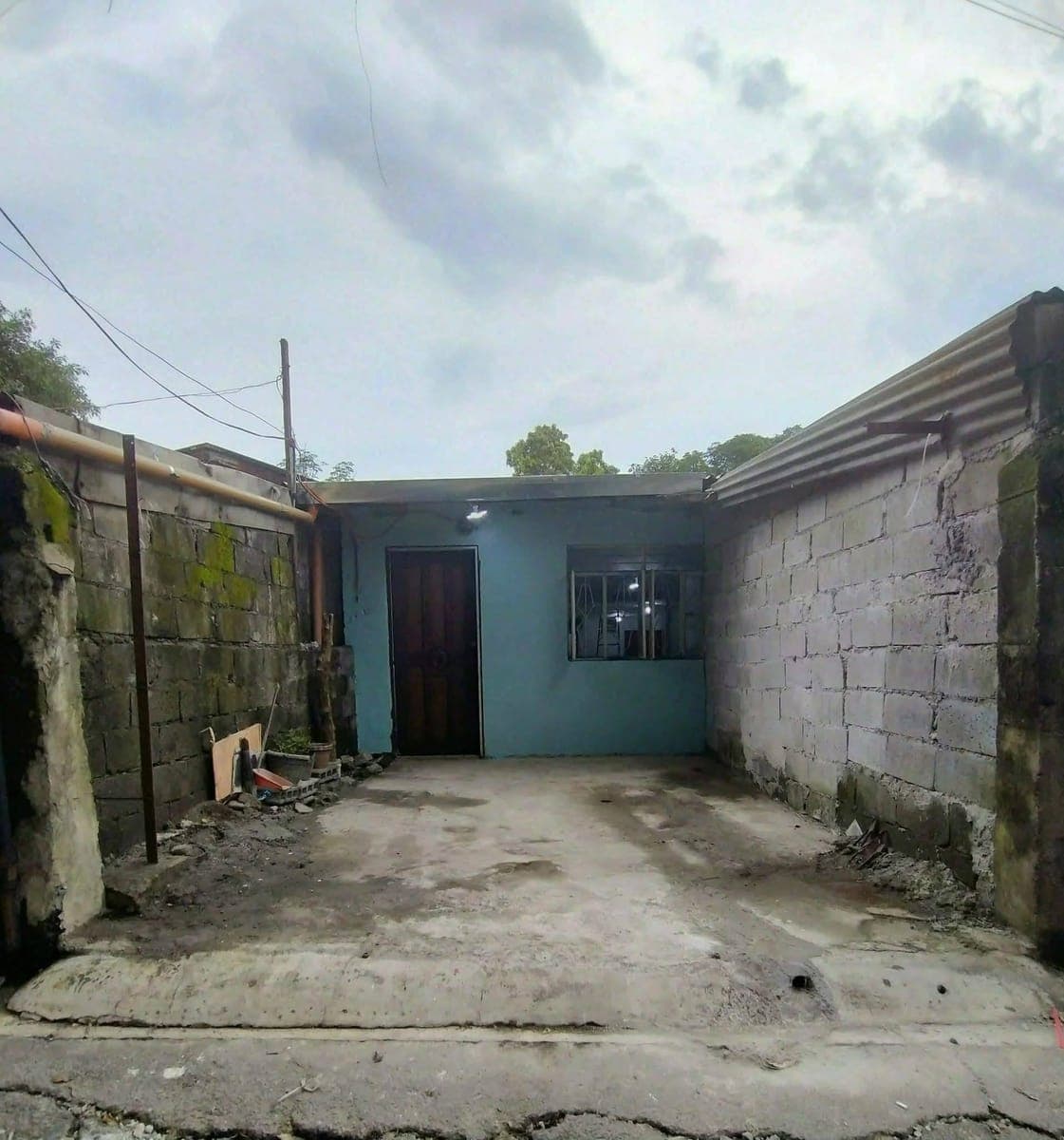 PTPA - photo 2