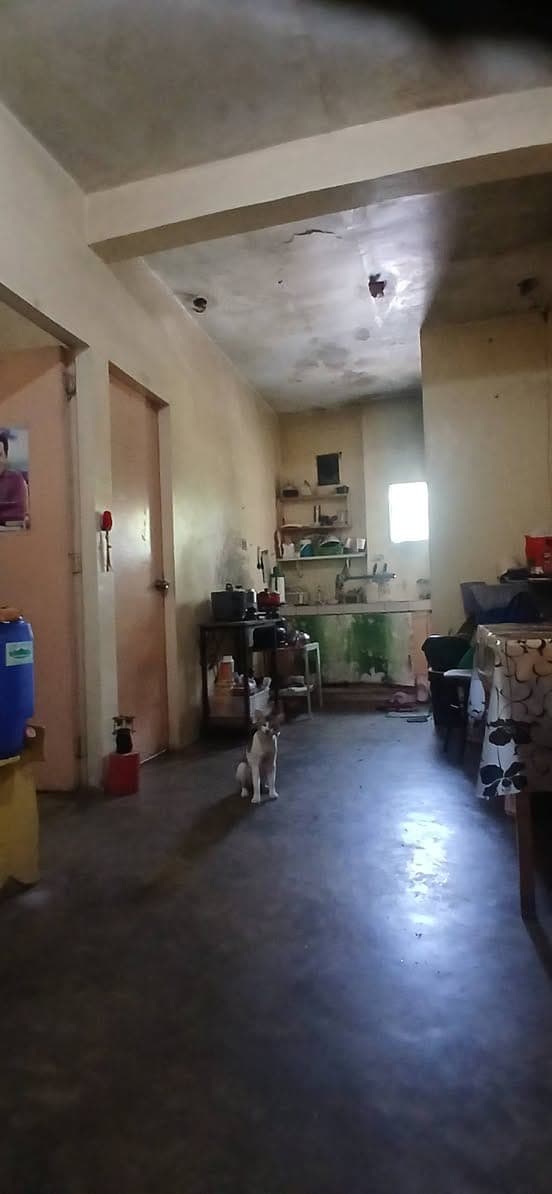 📌2BR> 🍀LOOKING FOR APARTMENT!! - photo 5