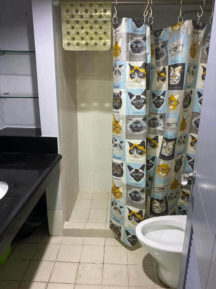 FOR LONG TERM RENT: 2BR Zinnia North Tower - photo 5