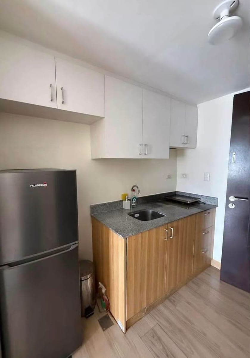 RUSH CONDO FOR RENT | MANHATTAN PLAZA TOWER 1 - photo 3