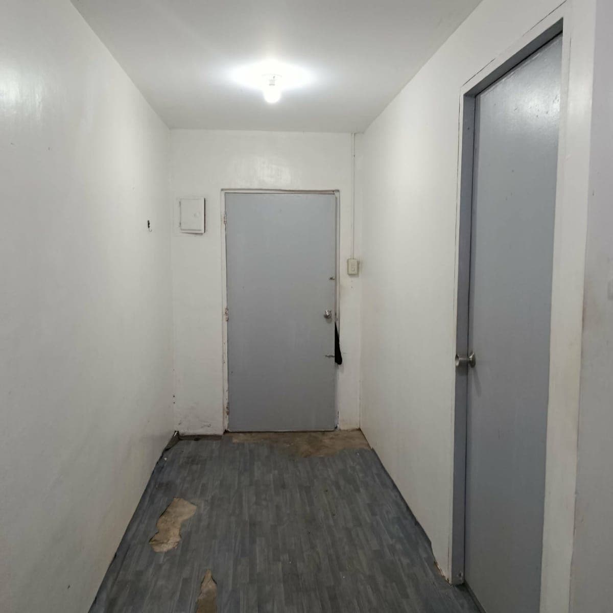 House for rent - photo 4