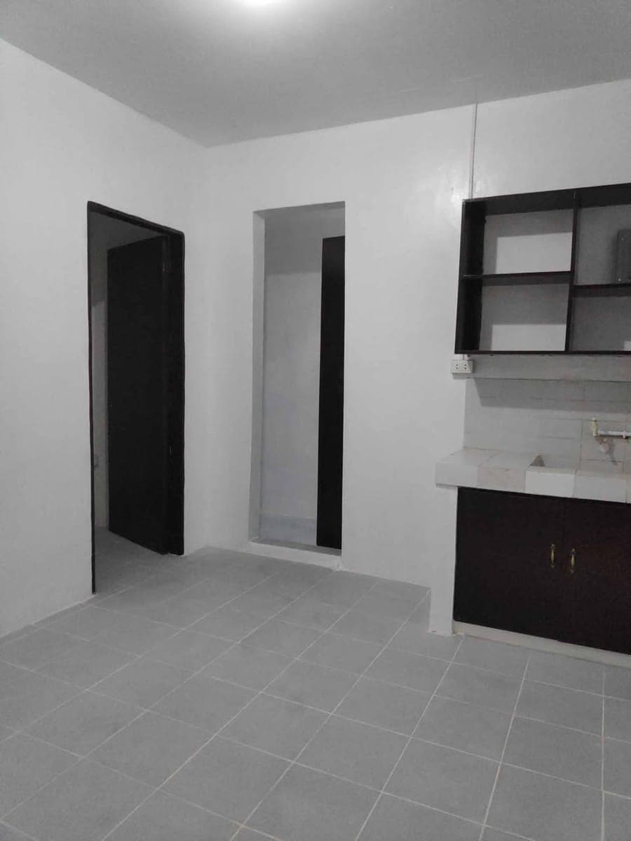 1BR Apartment For Rent - photo 2