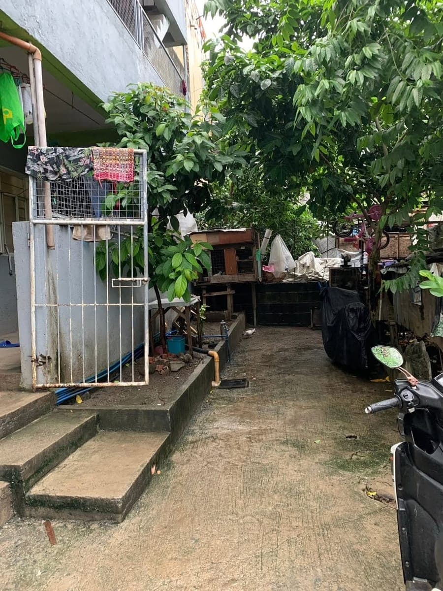 Apartment for rent @ Rosal Street Summitville 2 - photo 3