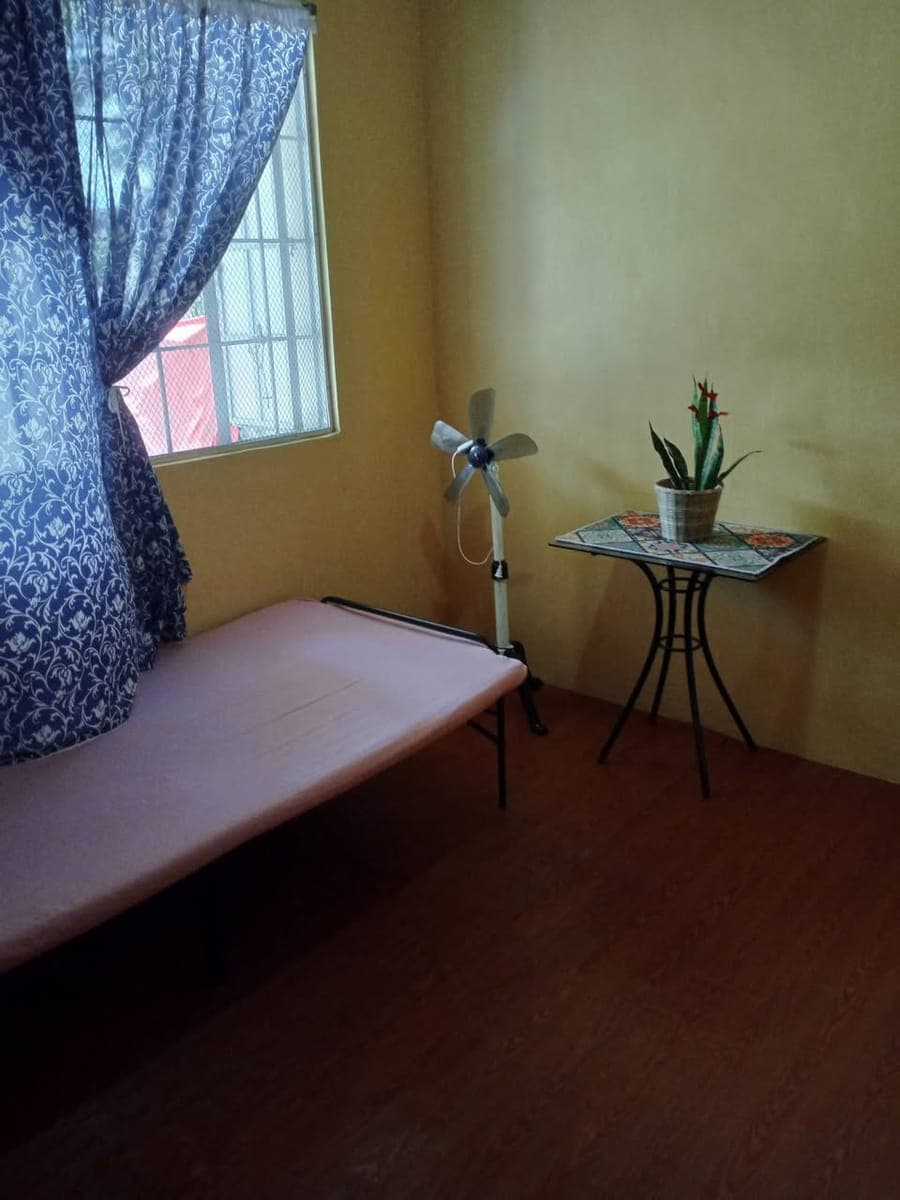 Room for lady only - photo 2