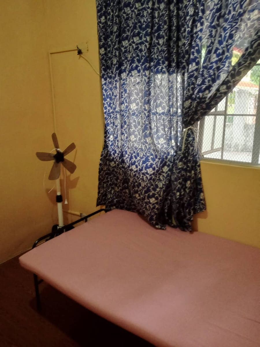 Ptpa - photo 2