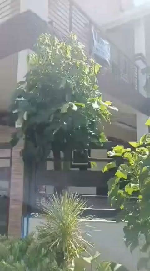 HOUSE FOR RENT 🏠 - photo 2