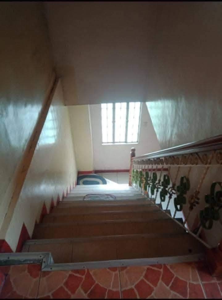 Ptpa - photo 1