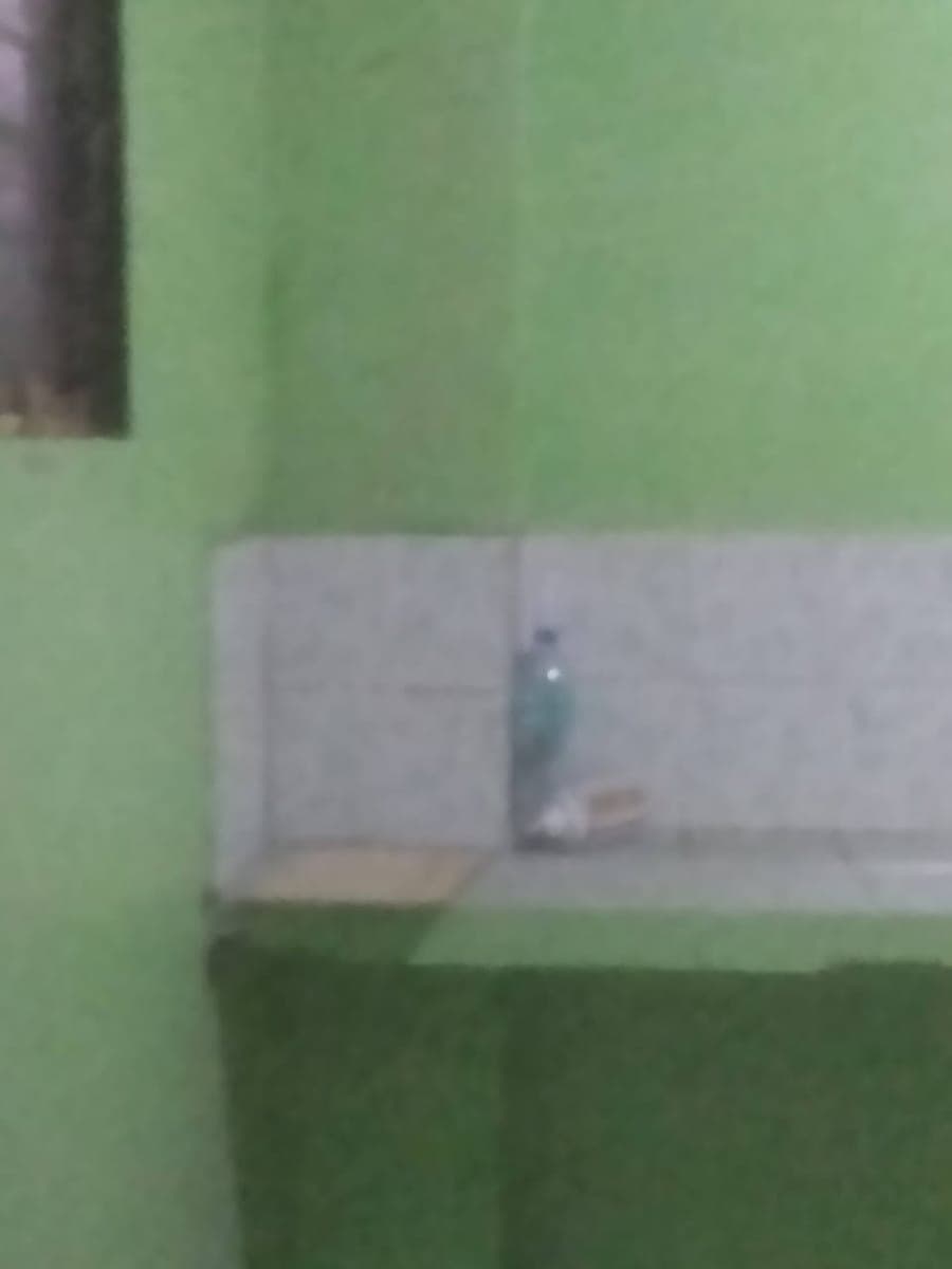 Room fr rent - photo 4