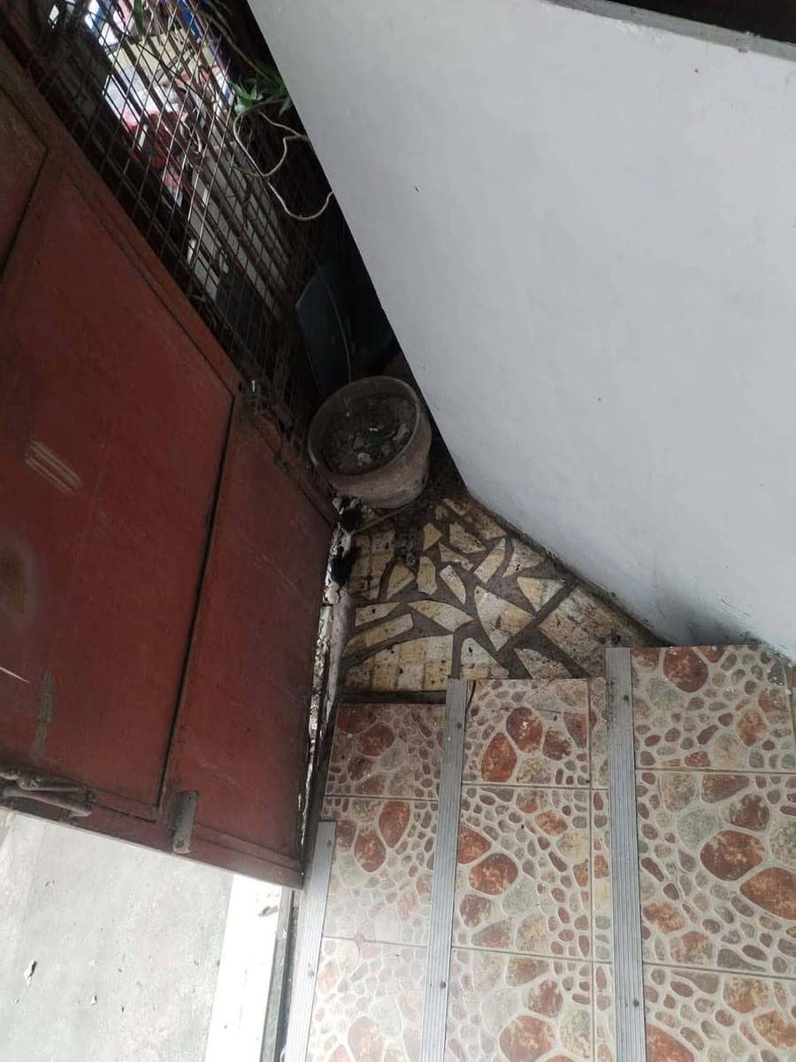 Studio house for rent 5000php - photo 3