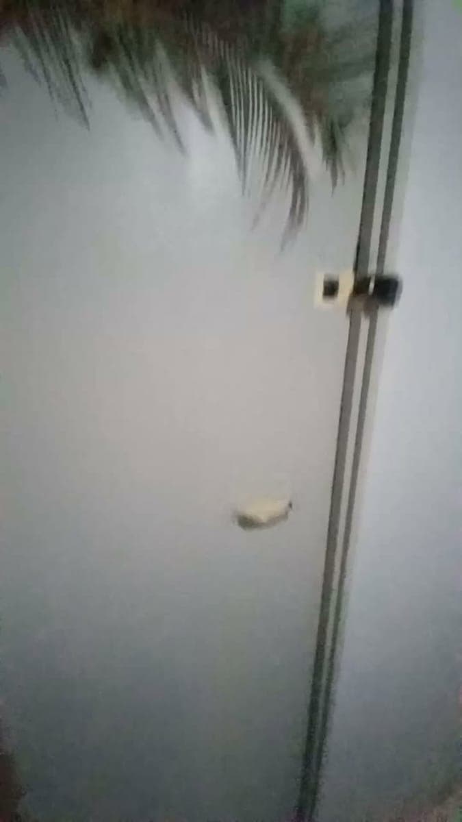 ROOM FOR RENT! GIRLS ONLY. P3,500 MONTHLY! - photo 4