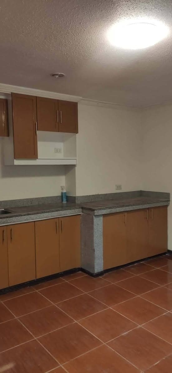 Newly Renovated Townhouse for rent in Sacred Heart Village Lagro QC. - photo 4