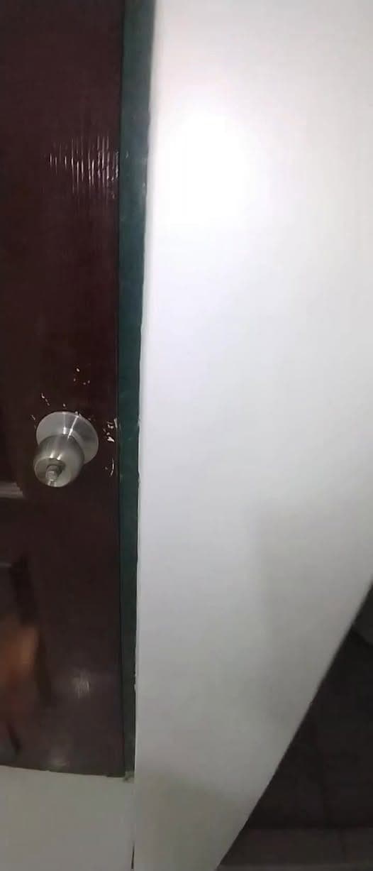PTPA - photo 4
