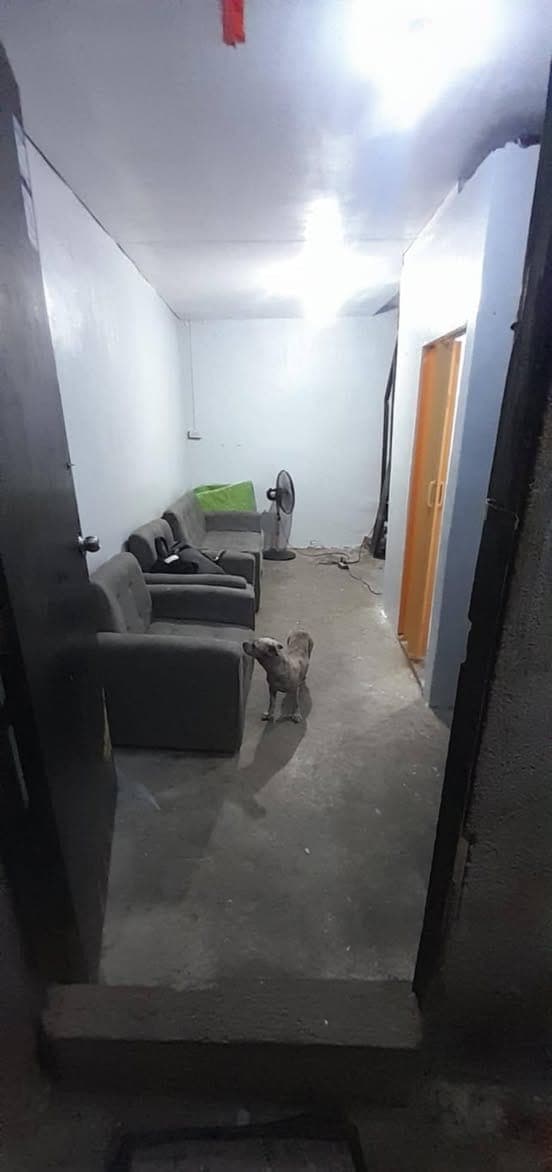 HOUSE FOR RENT - photo 2