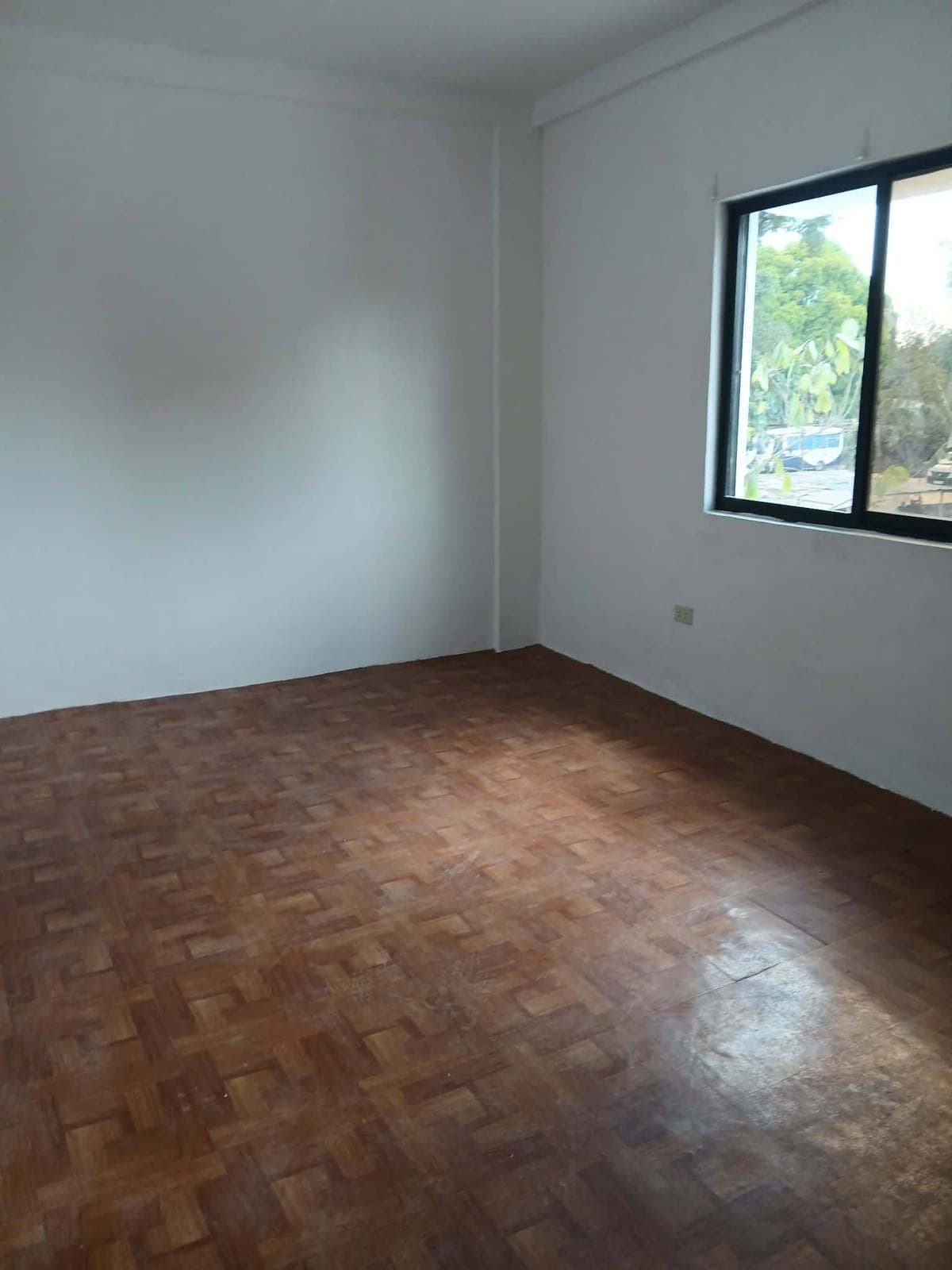 Ptpa: office / house for rent - photo 15