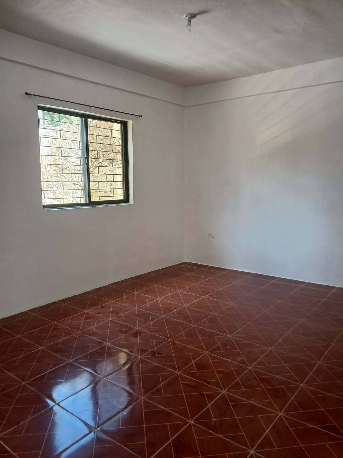 Ptpa: office / house for rent - photo 3