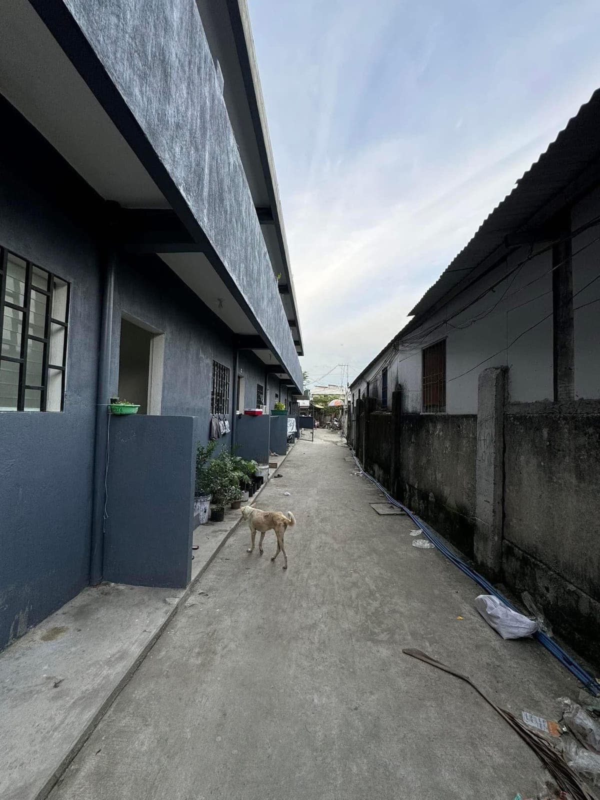 1 UNIT AVAILABLE WITH 1 BEDROOM LOCATED IN THE 1ST FLOOR OF THE BUILDING 2 (ROOM D) - photo 18