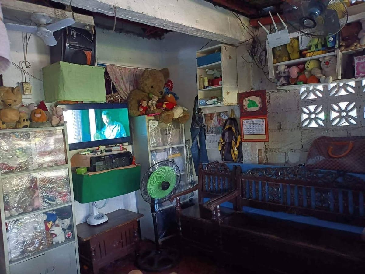 SANLA KOLEKTA - photo 2