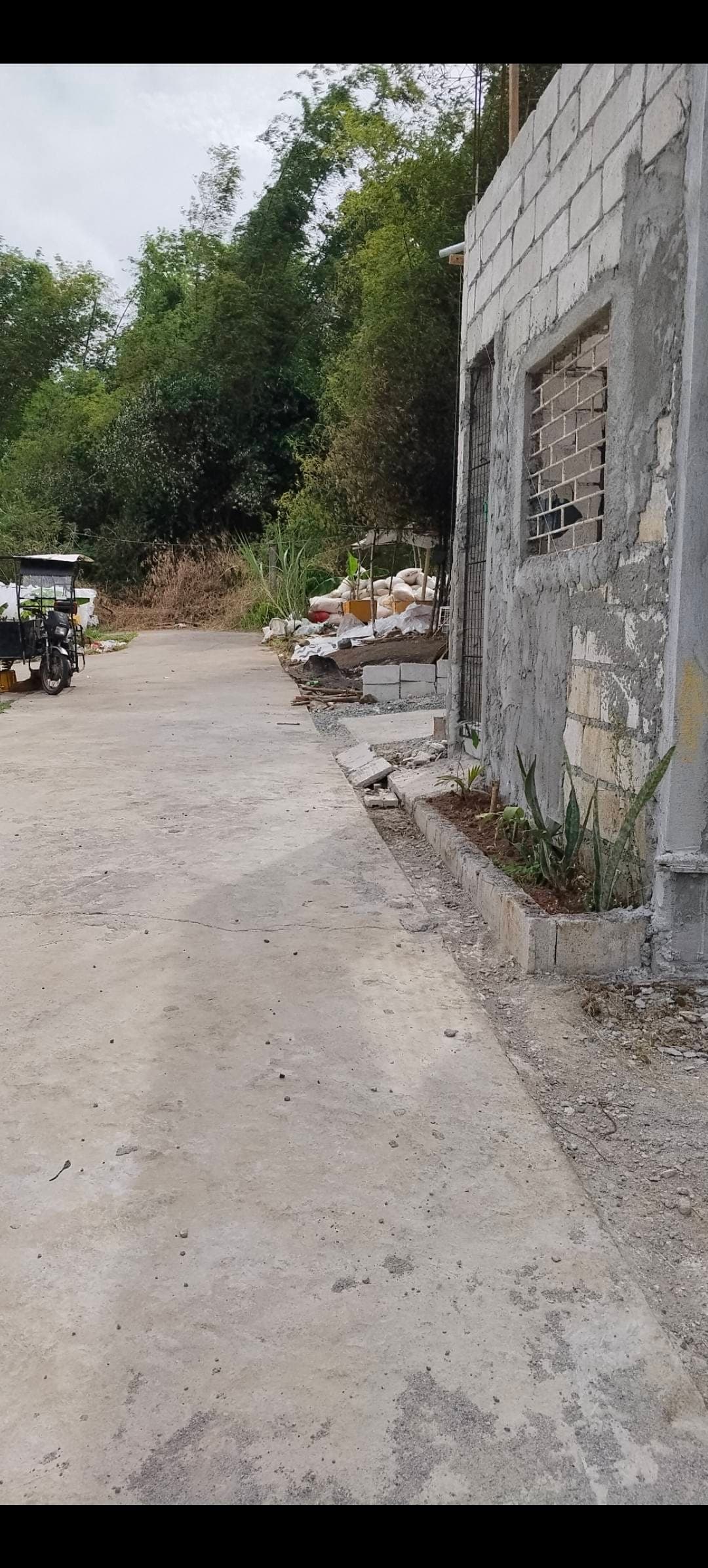 100sqm lot tax dec brgy tatala. Binangonan Rizal cash.. 350k..meet up monte Chiara subd tatala.. 7am/5pm . 09662981996 - photo 1