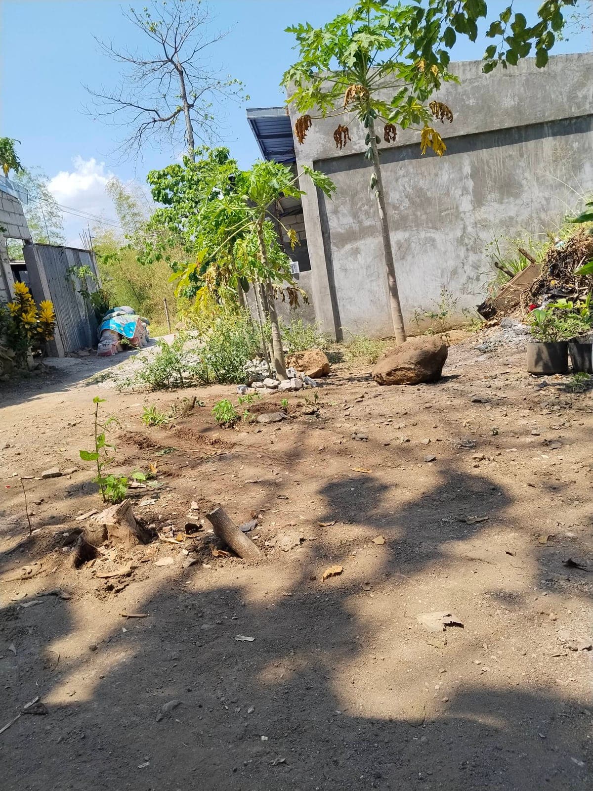 100sqm lot tax dec brgy tatala. Binangonan Rizal cash.. 350k..meet up monte Chiara subd tatala.. 7am/5pm . 09662981996 - photo 3