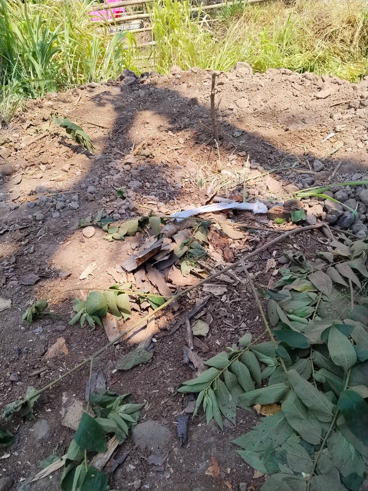 100sqm lot tax dec brgy tatala. Binangonan Rizal cash.. 350k..meet up monte Chiara subd tatala.. 7am/5pm . 09662981996 - photo 4