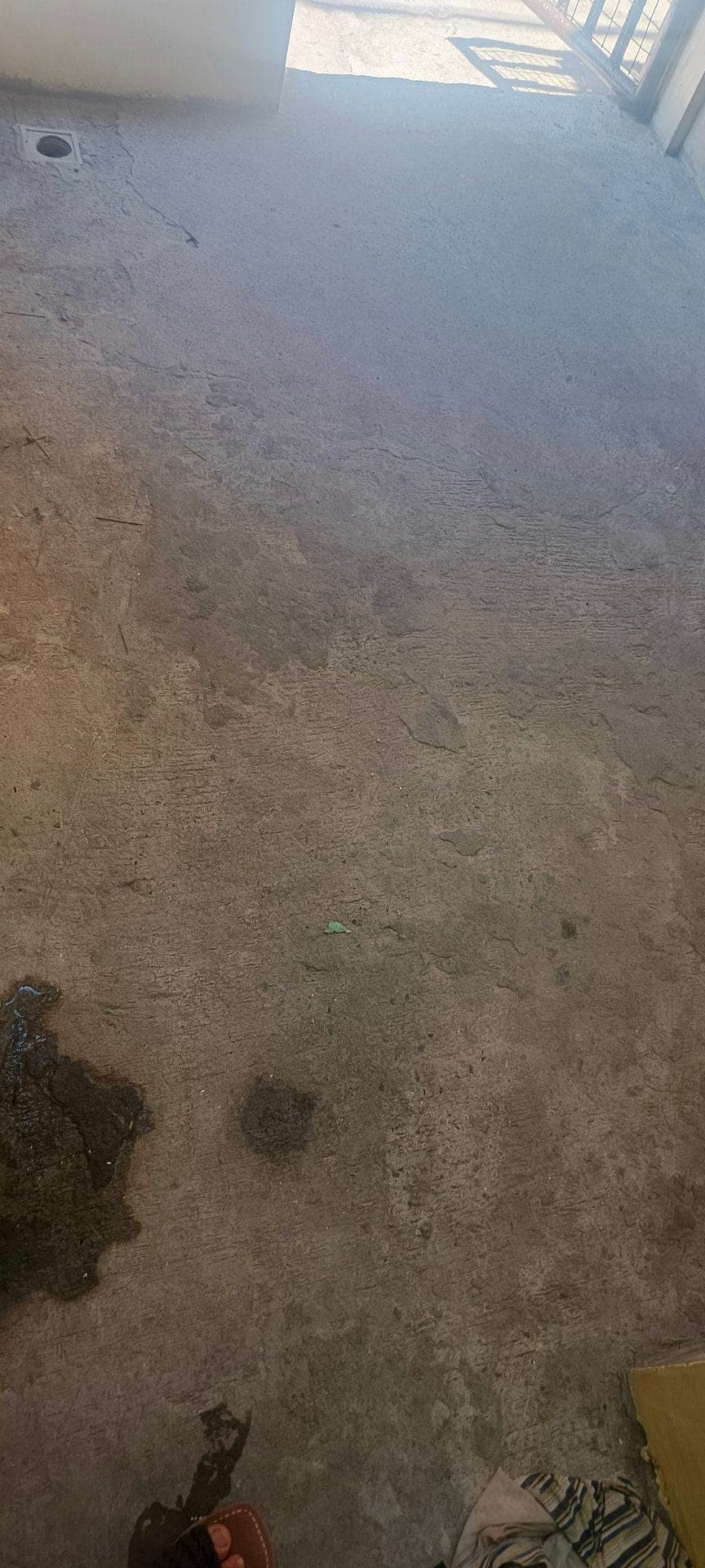 Locator here - photo 5