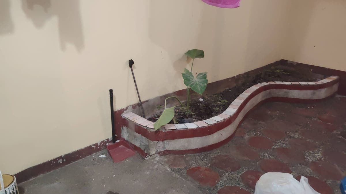 House for rent: comment If you see this post I will PM you. - photo 11