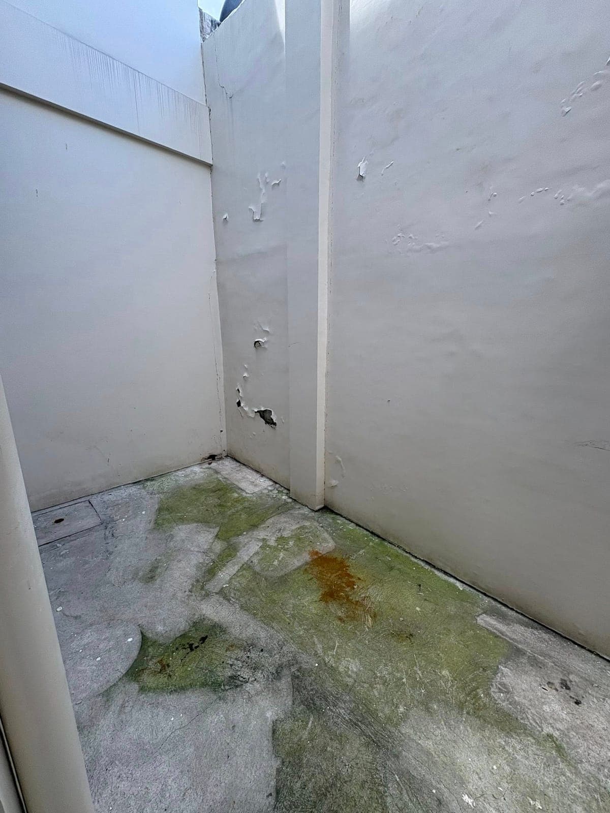 🌻𝟐 𝐒𝐓𝐎𝐑𝐄𝐘 𝐀𝐏𝐀𝐑𝐓𝐌𝐄𝐍𝐓  𝐅𝐎𝐑 𝐑𝐄𝐍𝐓 🌻 - photo 5