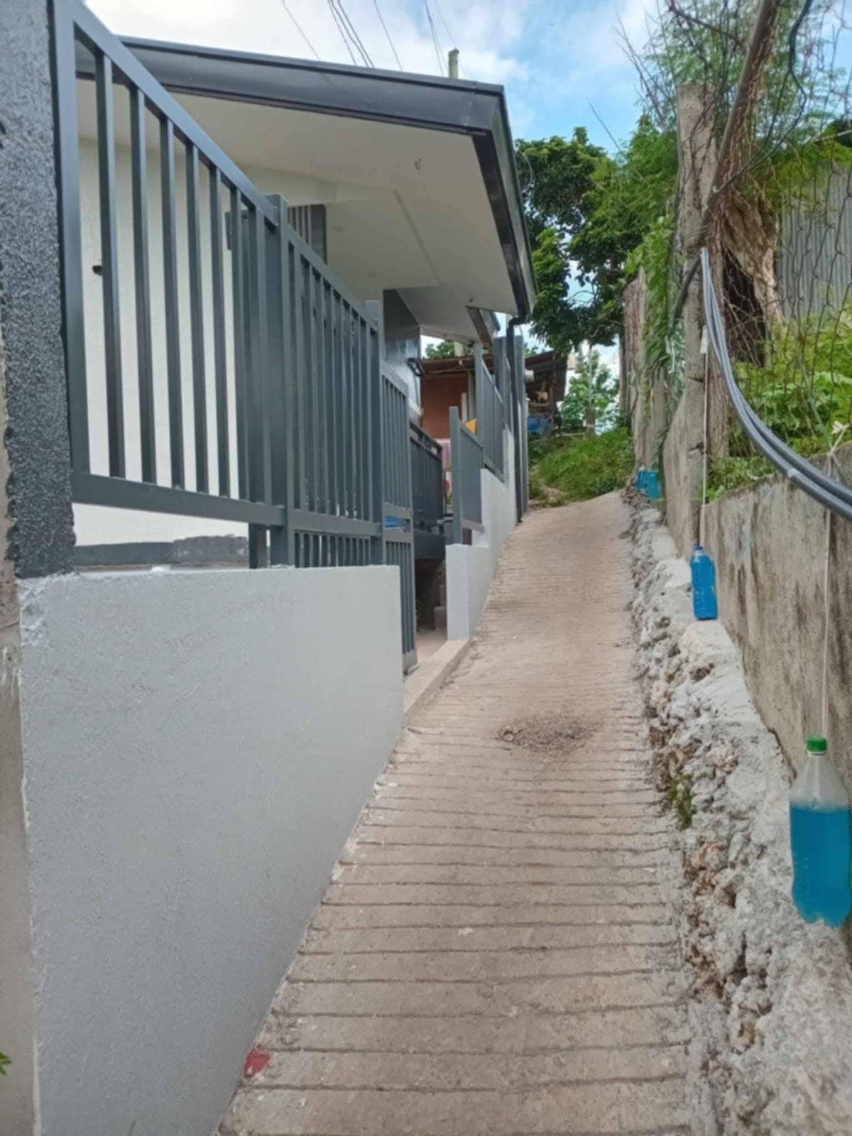 Helping a friend 🧡 - photo 3