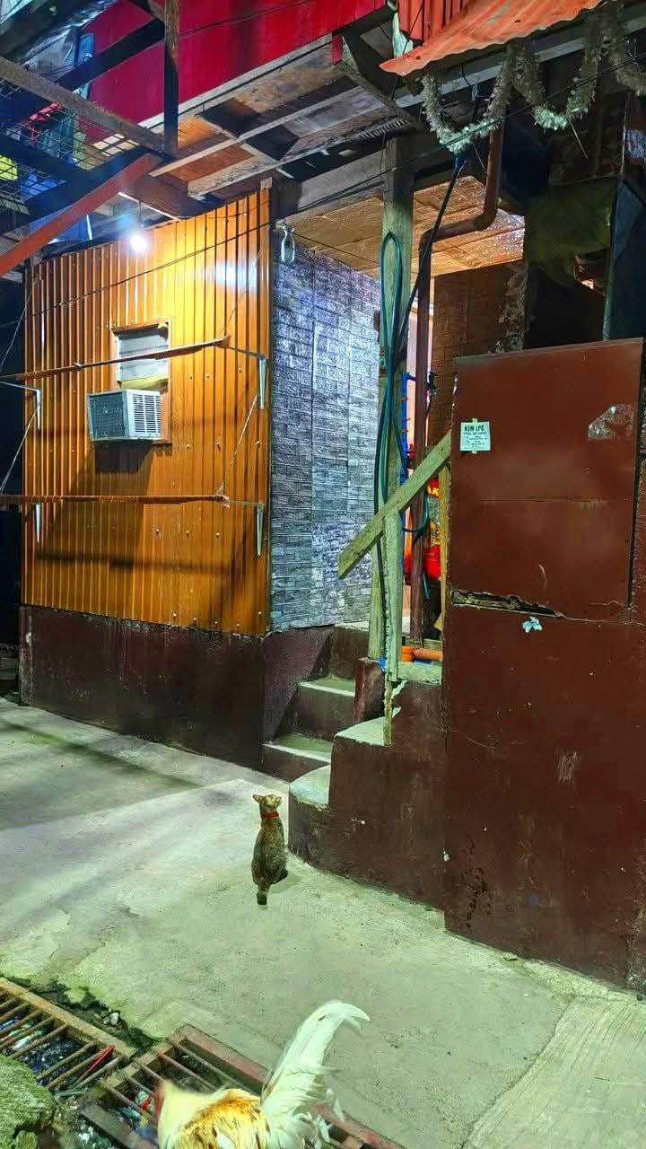 ✨ ROOMS FOR RENT - photo 2