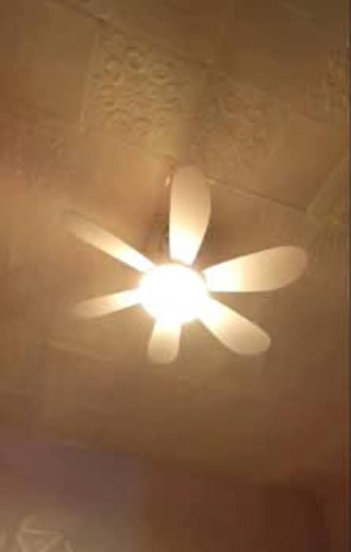 ✨ ROOMS FOR RENT - photo 10