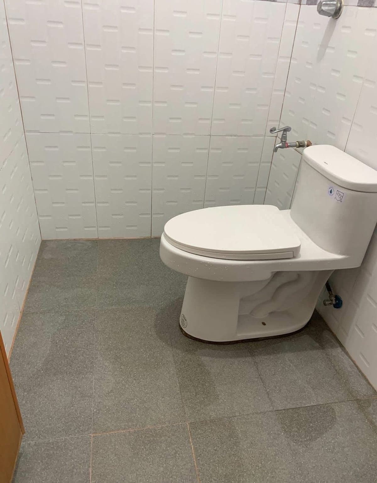 🏡 House for Rent in Catalunan Grande | Elenita Heights Phase 1 - photo 3