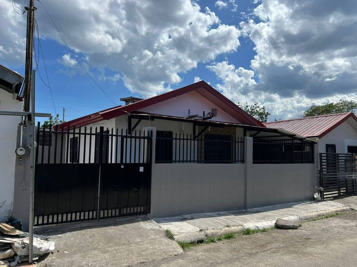 Whole house for rent - photo 5