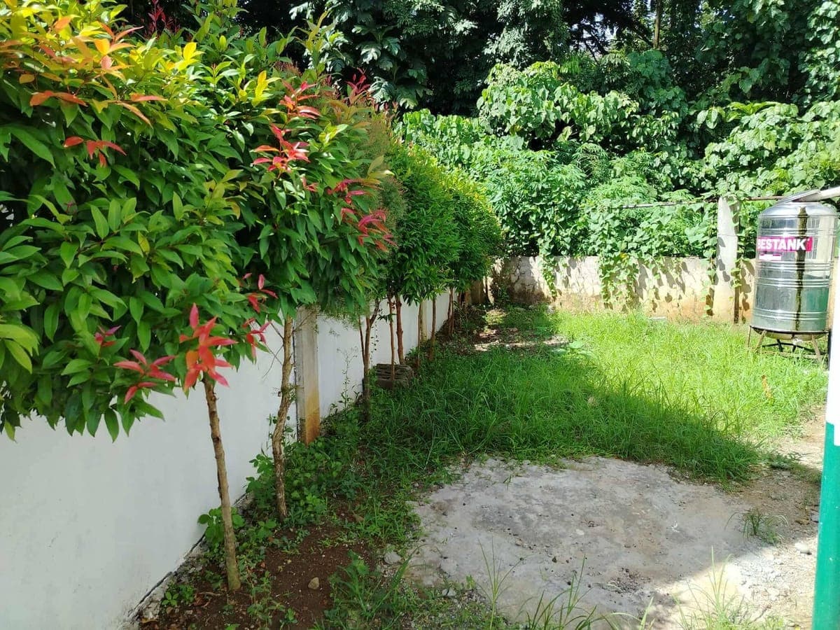 🪷 HOUSE for RENT in Catalunan Grande🪷 - photo 9