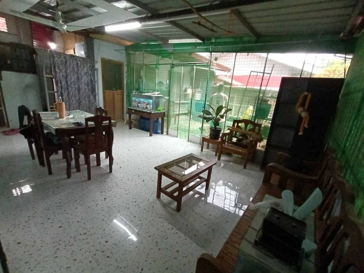 09165731026 please text me for viewing actual - photo 6