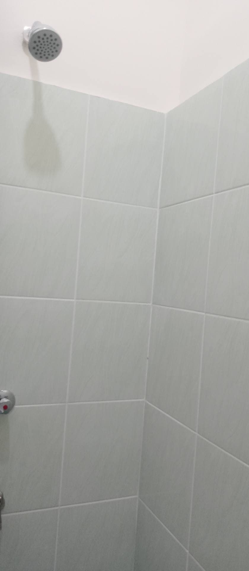 Available! - photo 4