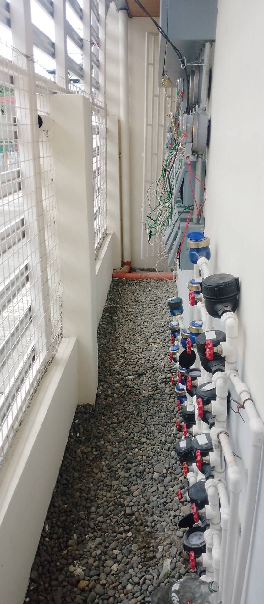 Available! - photo 7