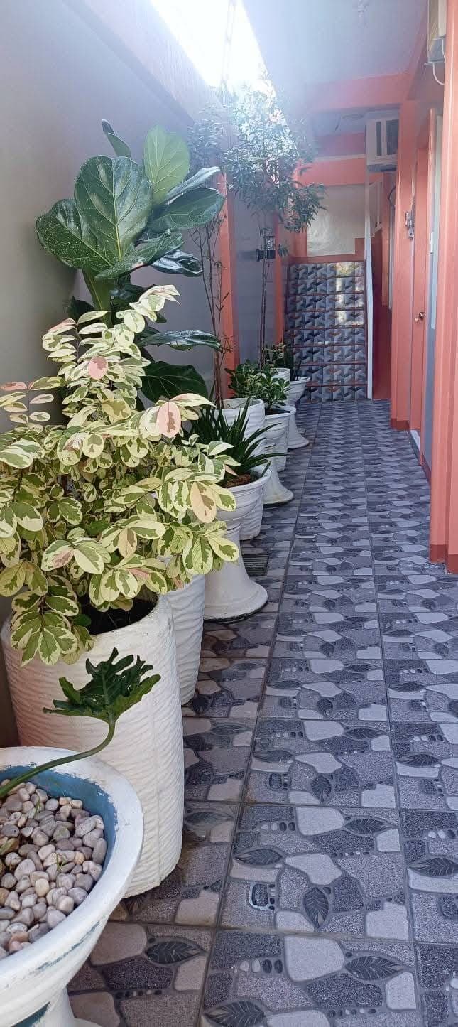 ‼️Looking for long term renter - photo 3