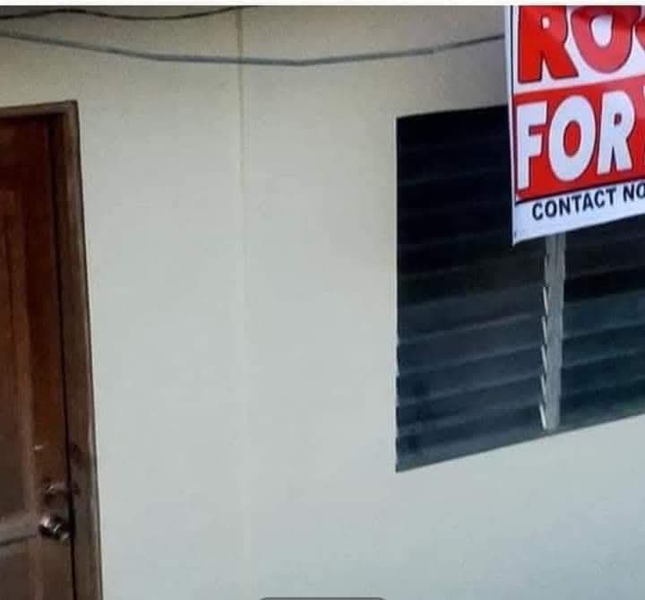 Rooms for rent  (  3 rooms vacant) - photo 5