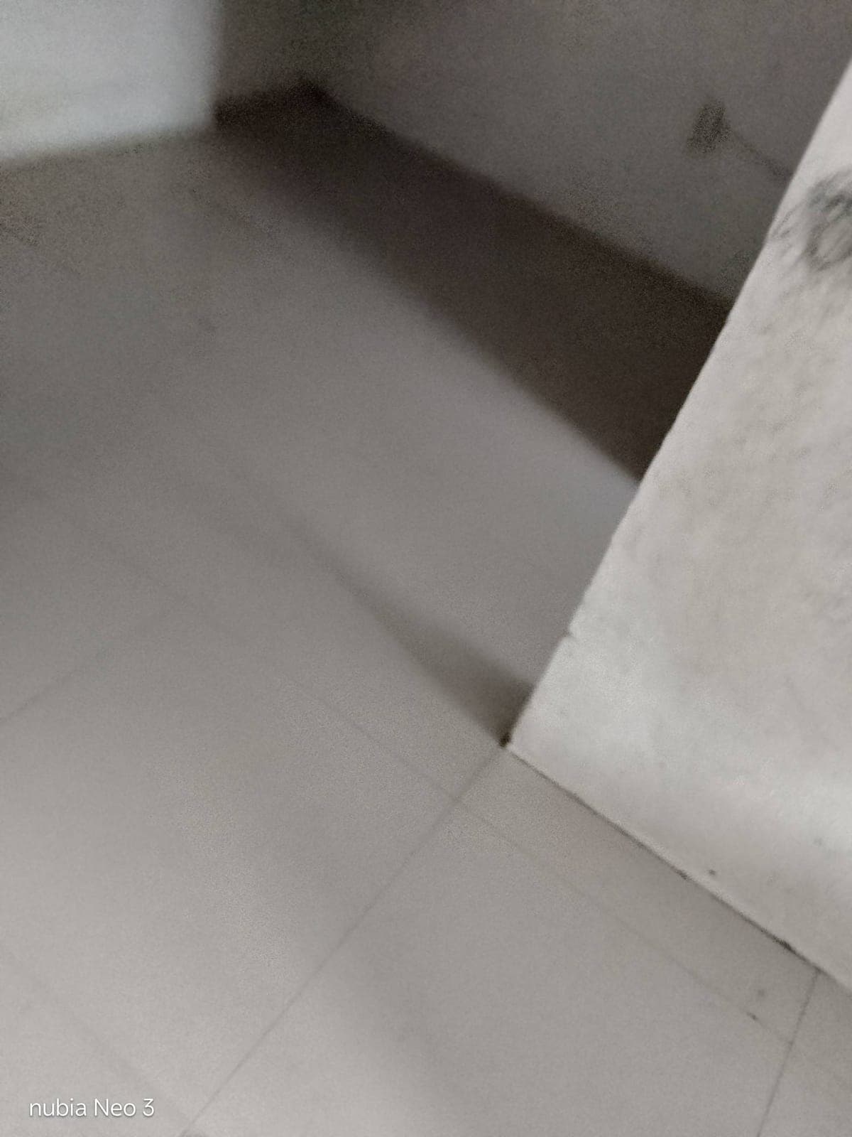 House for rent - photo 10