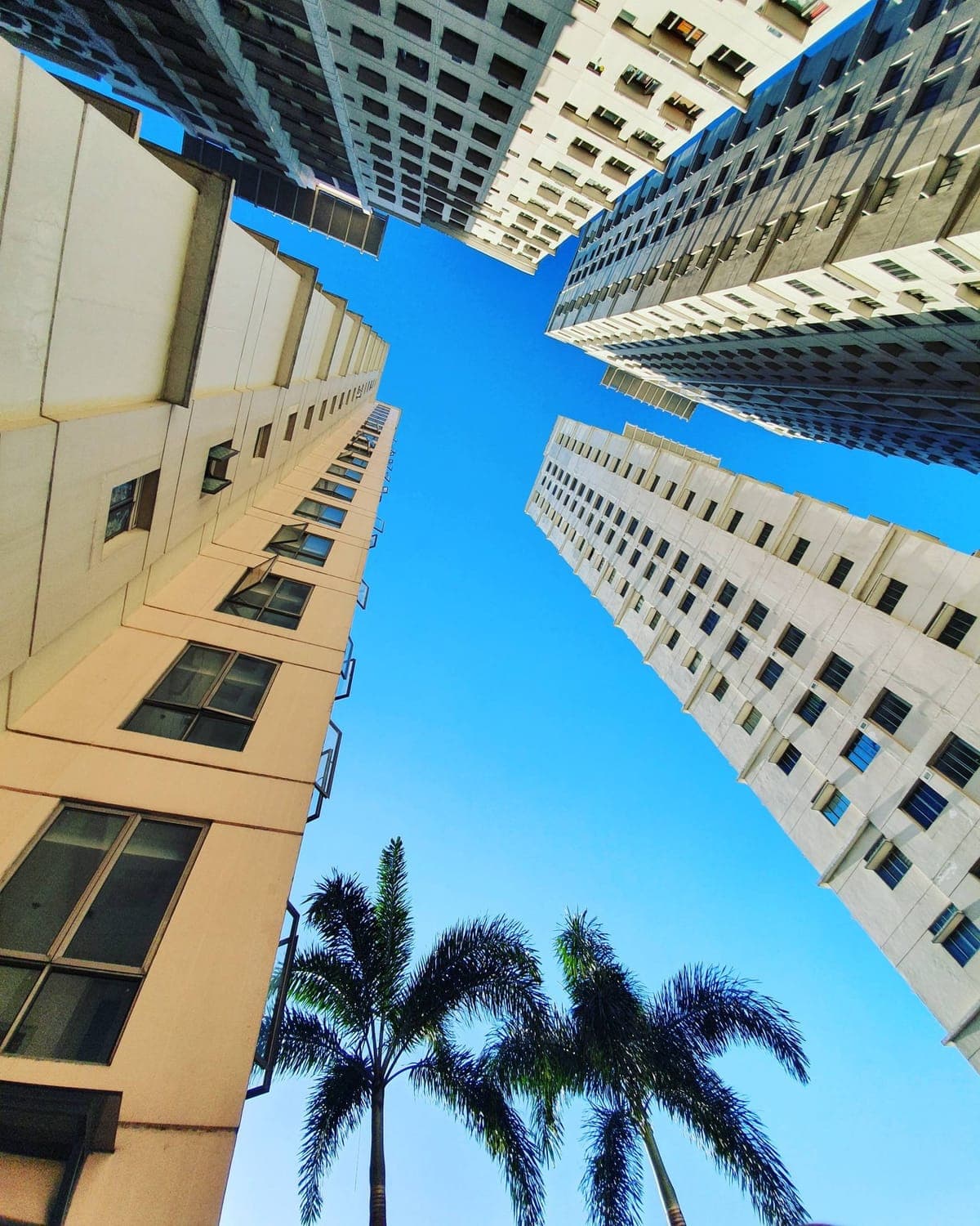 2 Bedroom FOR RENT - photo 8