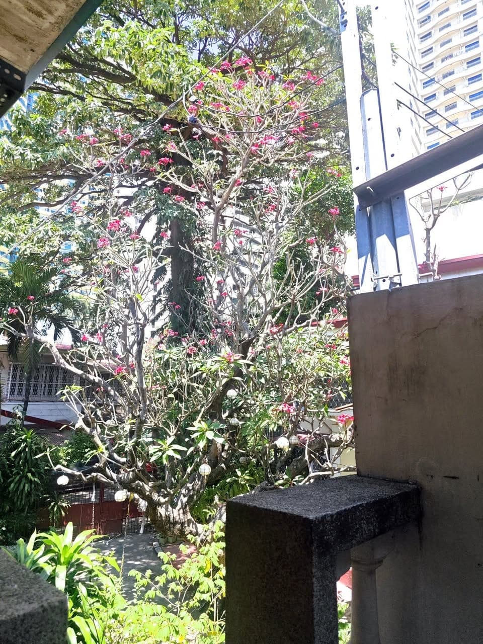 ‼️Room For Rent: ‼️If you are looking for a homey vibe please in the heart of Manila City. na parang... - photo 4