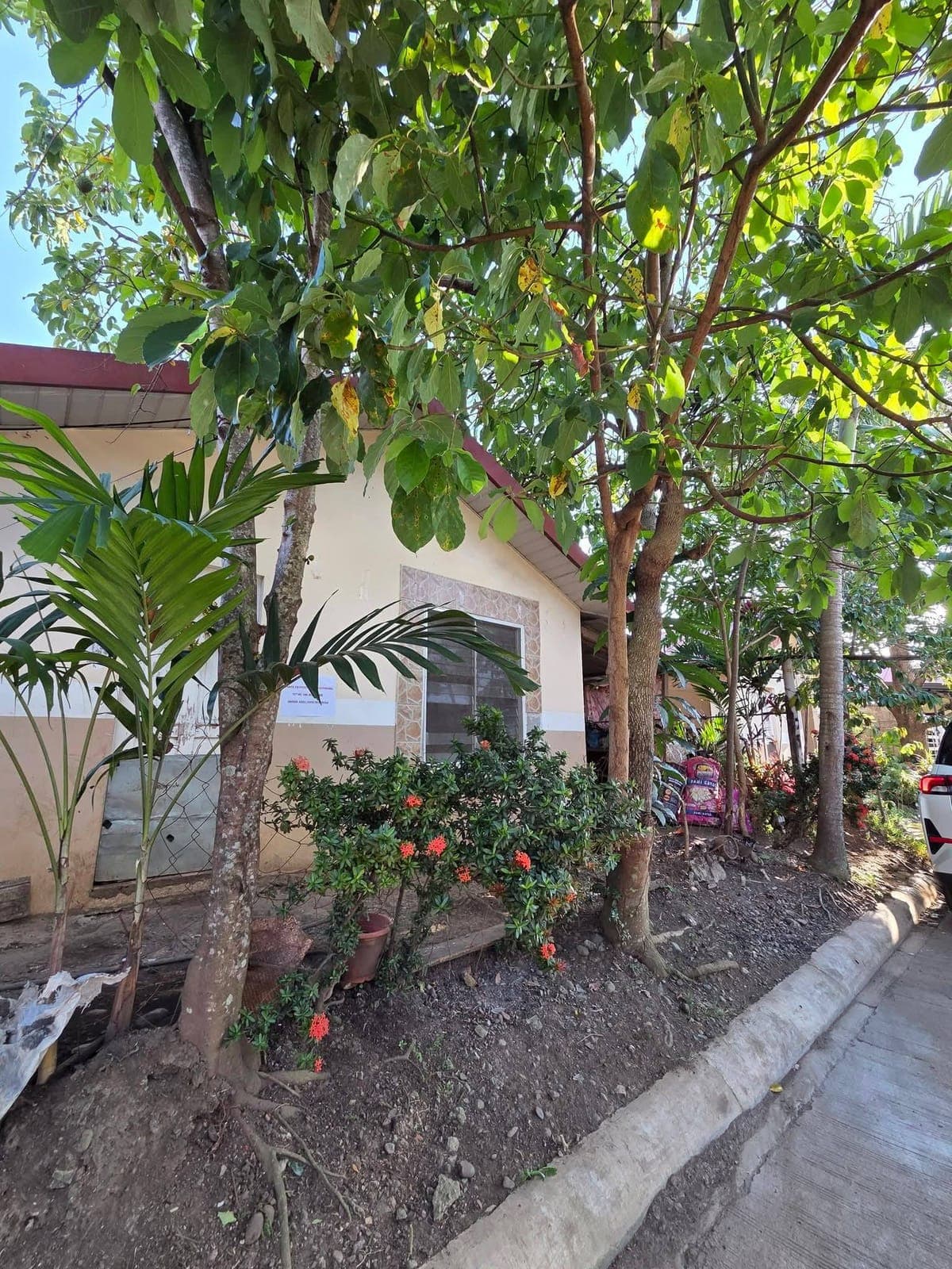 HOUSE FOR RENT 🏡❤️ - photo 4