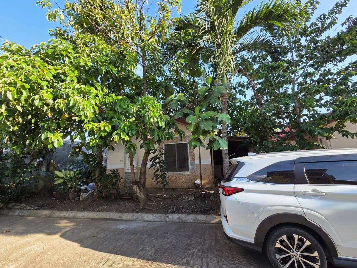 HOUSE FOR RENT 🏡❤️ - photo 5