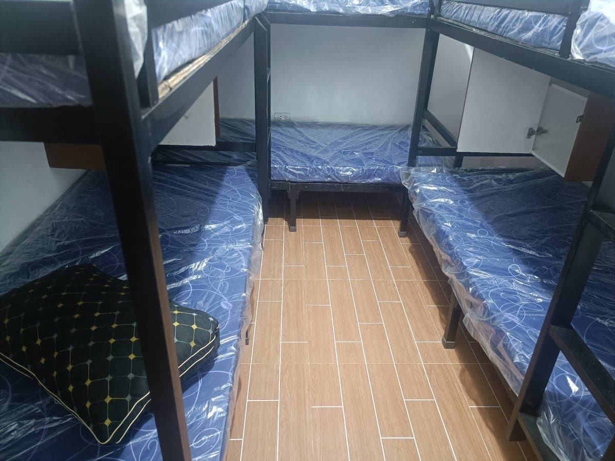 PTPA ❤️ - photo 7