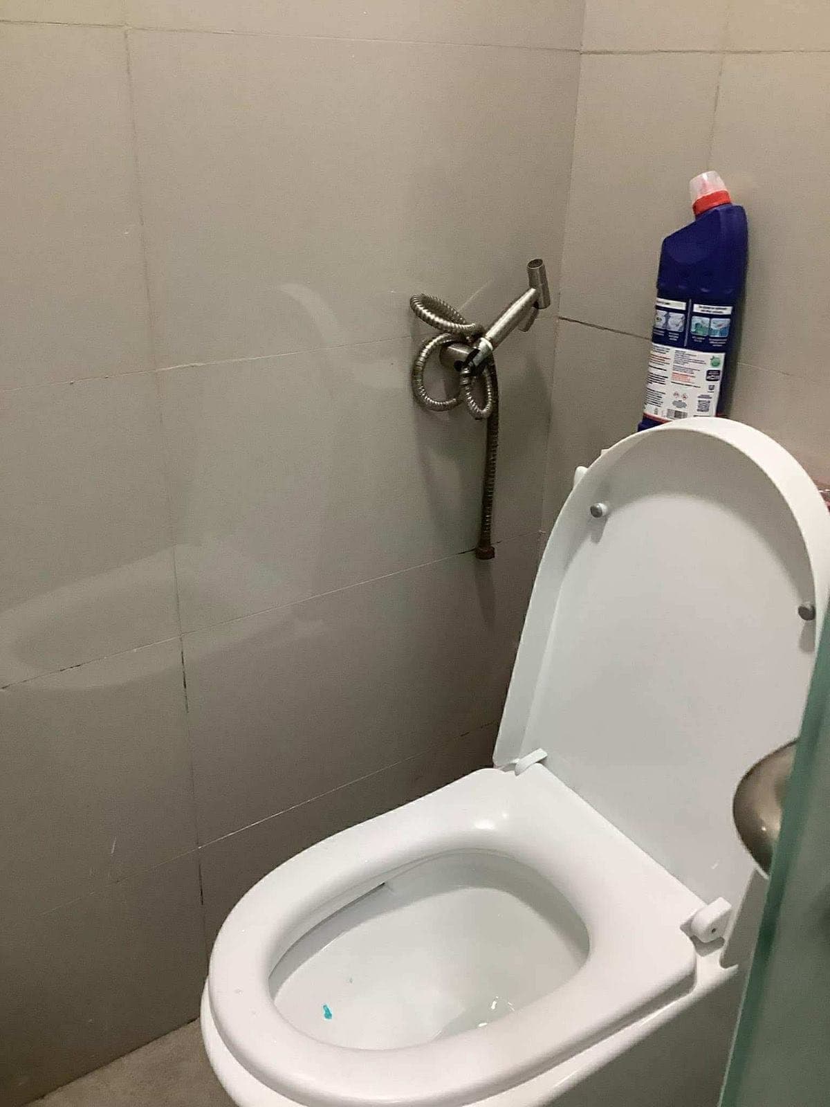 LOOKING FOR RUSH REPLACEMENT !!!❣️(Female) - photo 4