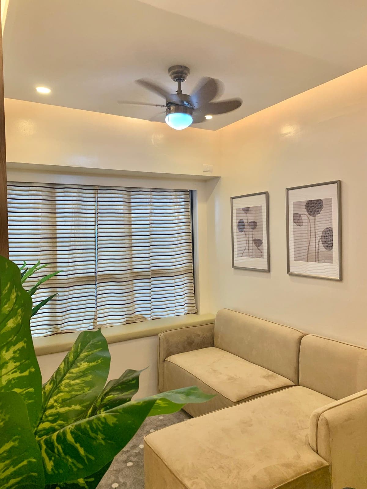 PTP Looking for Tenants... - photo 8