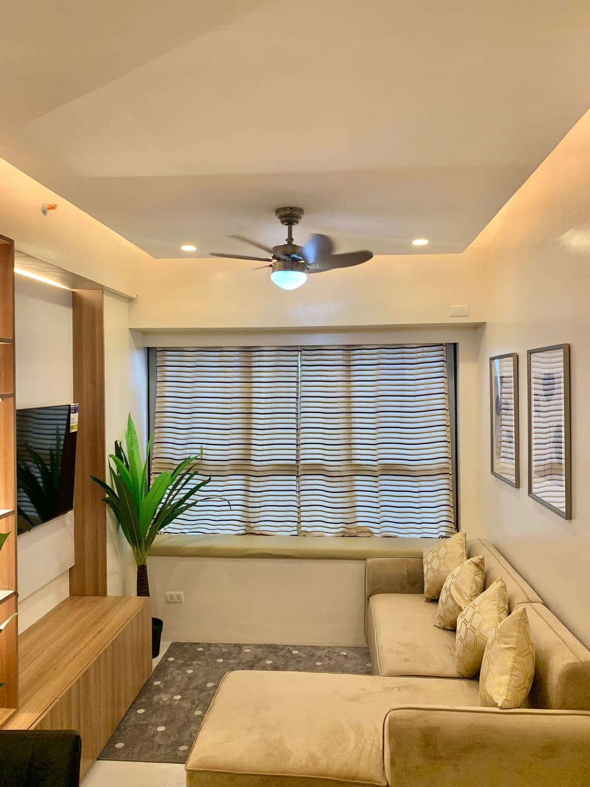 PTP Looking for Tenants... - photo 9